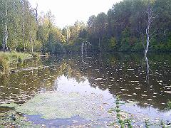 горбатовка 033